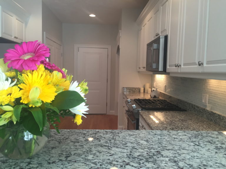 Painting in the Massachusetts Area Alpha Painting